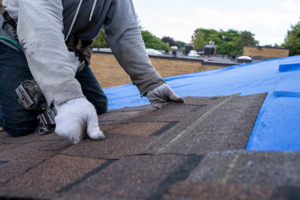 Best New Roof Installation  in Harrogate, TN