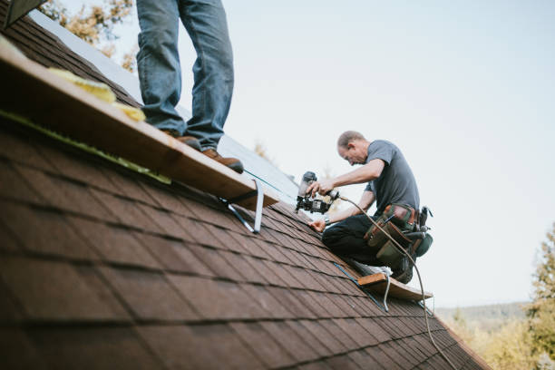 Best Best Roofing Contractors  in Harrogate, TN
